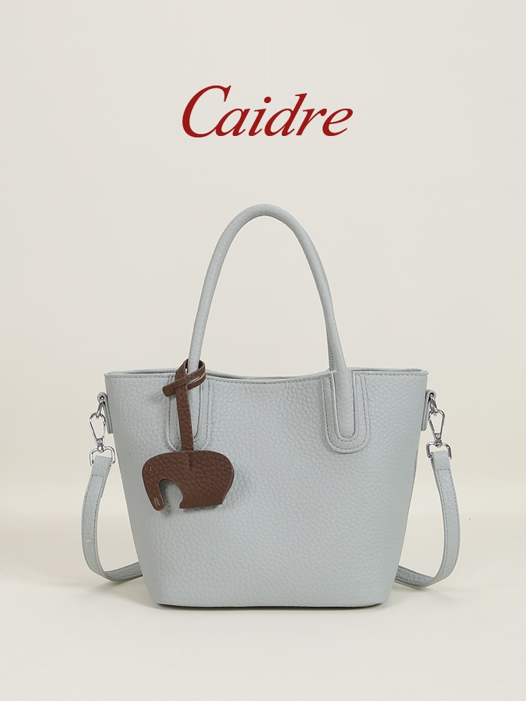Caidre Luxury Tote Bag 2026 Ne - Luxury Bags Korea 评论和价格