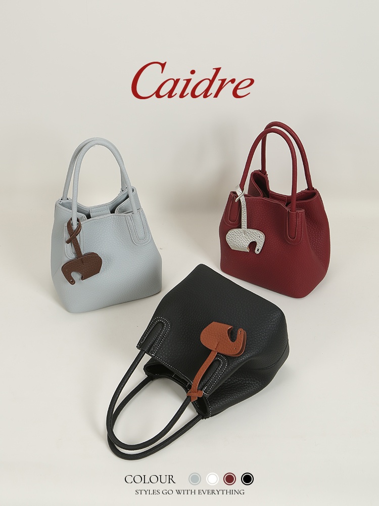 Caidre Luxury Tote Bag 2026 Ne - Luxury Bags Korea 评论和价格